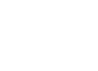 pt-angels-logo